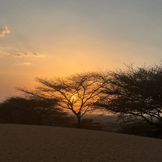Jodhpur Overnight Desert Stay in a Rural Indian Village
