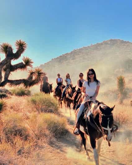 Joshua Tree National Park Horseback Ride - Exploring Joshua Trees Equestrian Trails