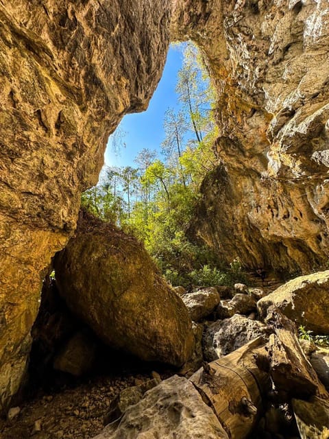 Juárez Highlands: Ecotourism and Workshop Experience - Tour Overview