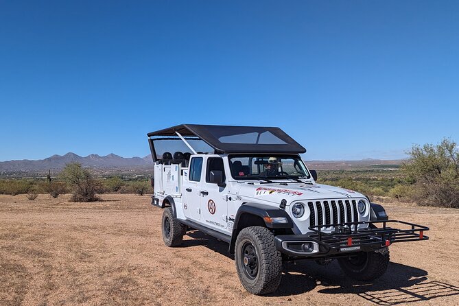 Jumping Cholla (Choya) Jeep Tour