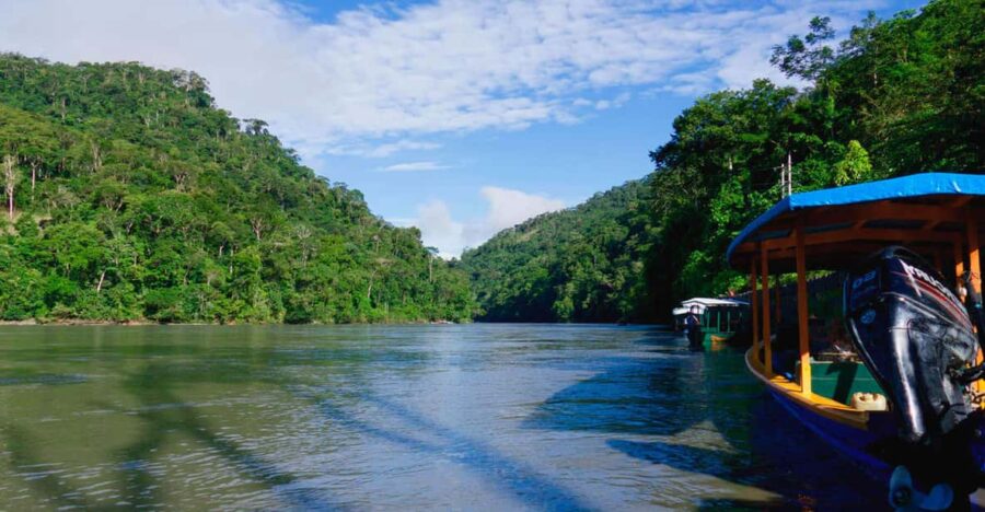 Jungle + Amazon River Excursion 4 Days