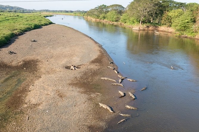 2 Best National Park Tours In Puntarenas
