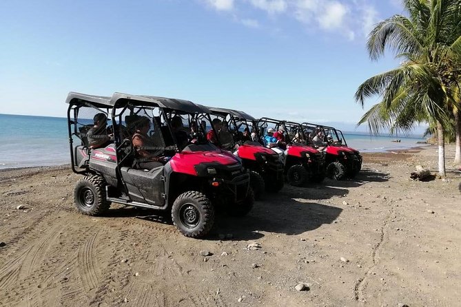 Jungle & River Buggy & Crocodile Tour. Puntarenas Shore Excursion