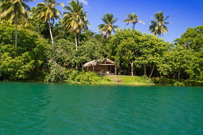 Jungle Safari Excursion