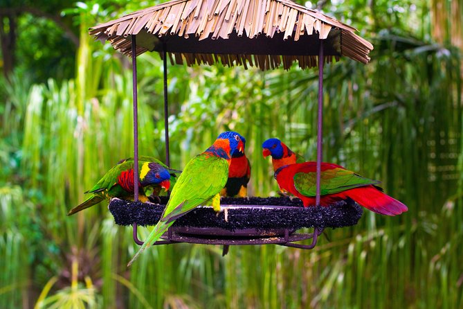 Jurong Bird Park Bird Photography - Meeting and Pickup Information