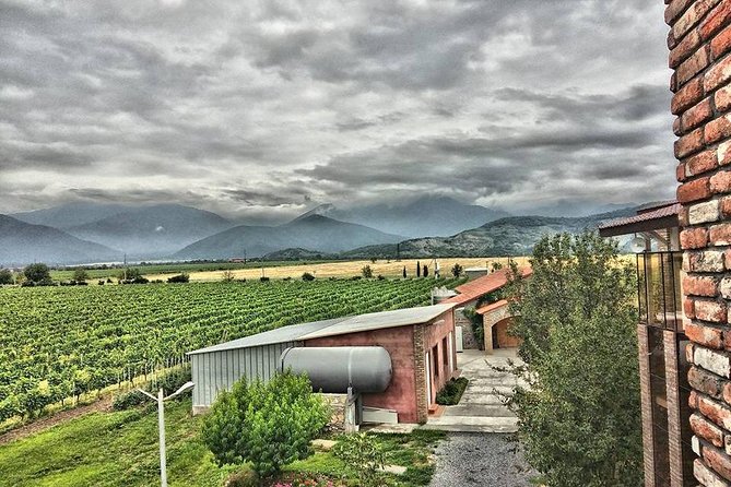 Kakheti-Wine Region Full-Day Superior Private Guided Tour & Organic Wine Tasting