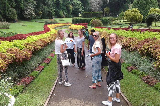 Kandy Day Trip From Colombo: Tea Factory- Peradeniya Botanical Gardens-Kandy