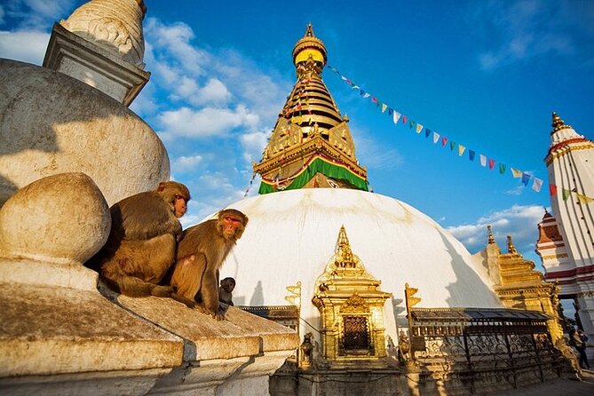 Kathmandu City Tour in Sharing Bus