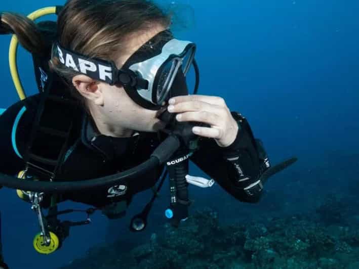 Kauai: 3-Tank Boat Dive for Certified Divers