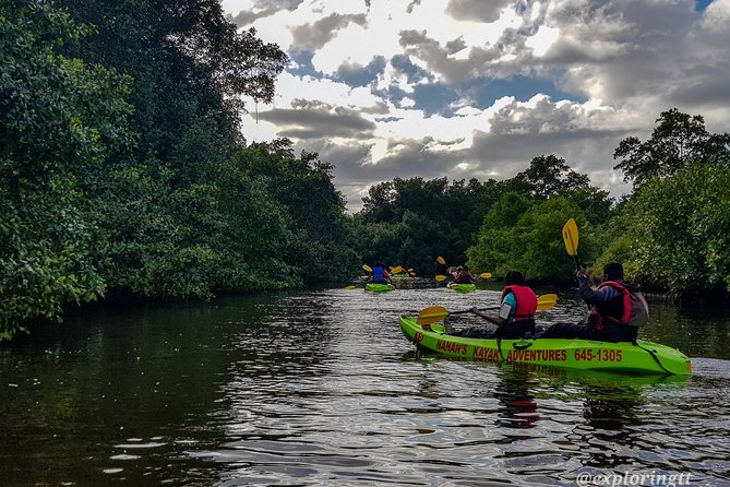 Kayak Adventure in the Second Largest Swamp of Trinidad and Tobago