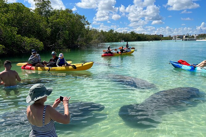 Kayak and SUP Rentals - Big Hickory Island - Fort Myers Beach, FL