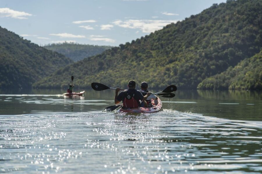 Kayak Experience Review: Nature Awaits You