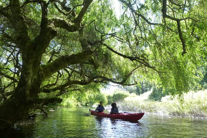 2 Best Canoe And Kayak Experiences In Puerto Varas