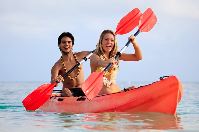 Kayak Rentals Miami Beach