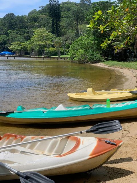 Kayak Tour - Animal Viewing, Swimming and Secret Beach