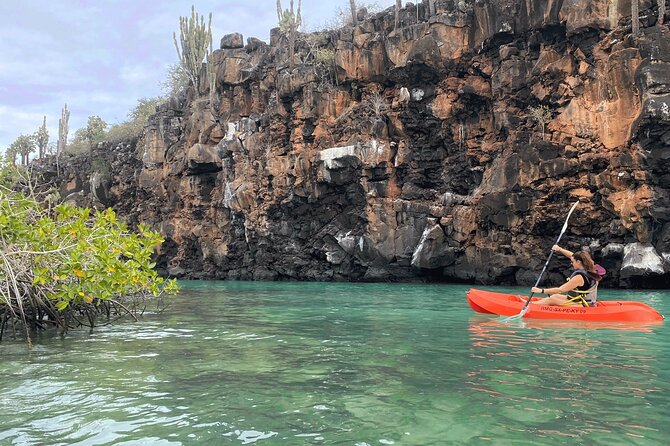 2 Best Canoe And Kayak Experiences In Santa Cruz