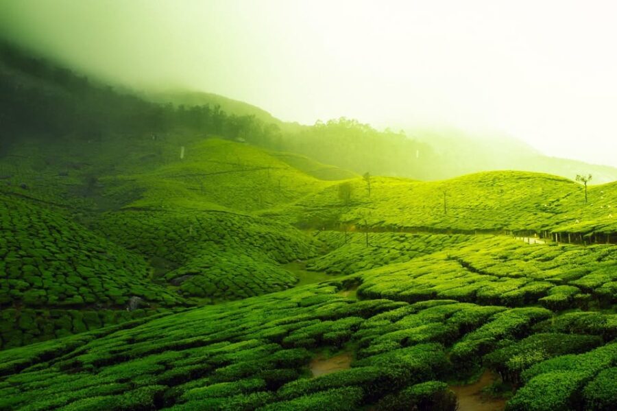Kerala by Car & Driver: 9 Day Tour With Houseboat Stay
