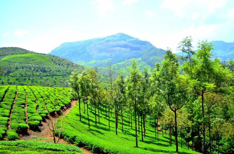 Kerala Temple Tour 6 Nights 7 Days - Tour Overview and Pricing
