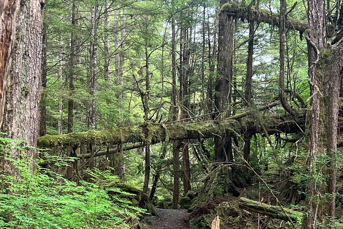 Ketchikan Remote Beach Hike With Totem Park Stop - Tour Pickup and Meeting Point