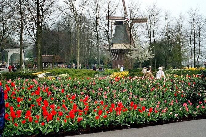 Keukenhof and Flower Fields Private Tour From Amsterdam