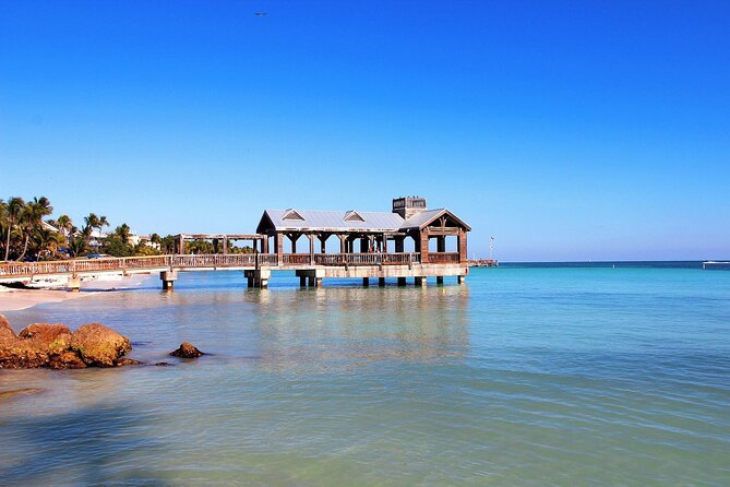 Key West Dolphin Watching and Snorkeling With Beer and Wine From Miami - Inclusions and Duration