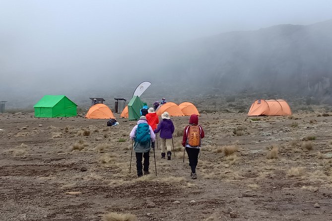 Kilimanjaro Experience 7 Days Lemosho Route