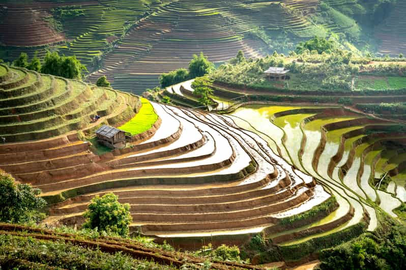 20 Best Full-Day Tours In Ubud