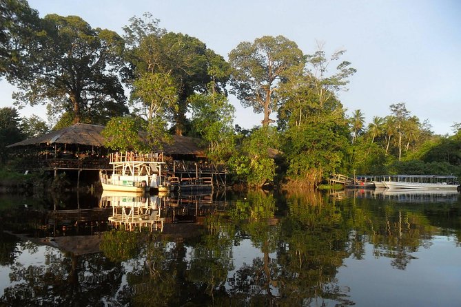 Klias Wetland River Safari Tour