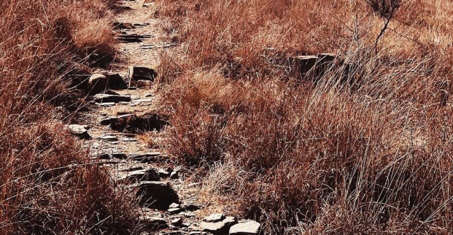 Klipriviersberg Nature Reserve 10km Hike - Activity Overview
