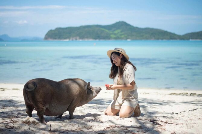 Kohsamui.Tours - Pig Island Snorkeling Eco Tour by Speed Boat