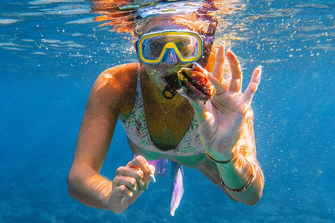 Komodo Day Tour to Explore 5 Islands and 3 Snorkeling Experience
