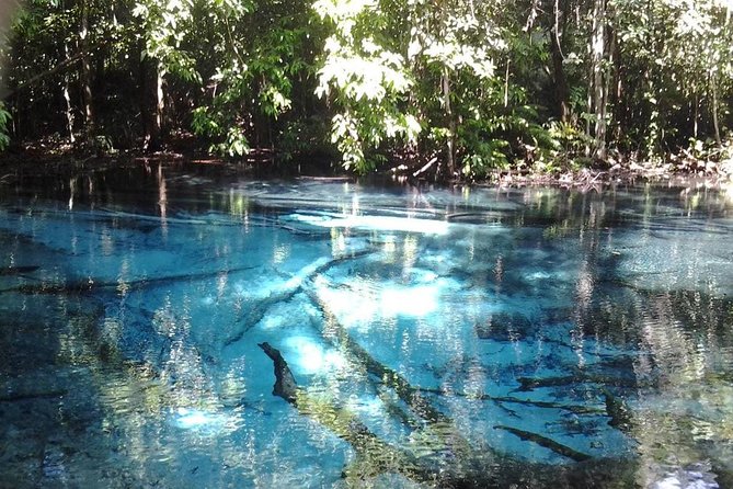 Krabi Emerald Pool, Hot Spring and Tiger Temple - Tour Overview