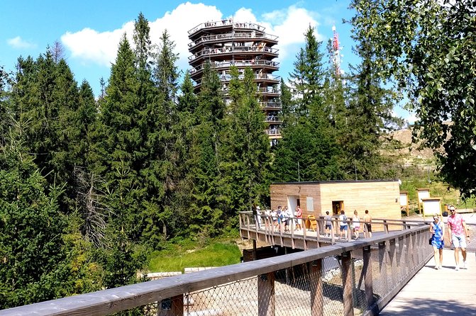 Krakow: Slovakia Treetop Walk & Zakopane Town Private Tour