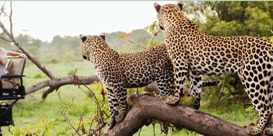 5 Best 3 Day Tours In Pretoria