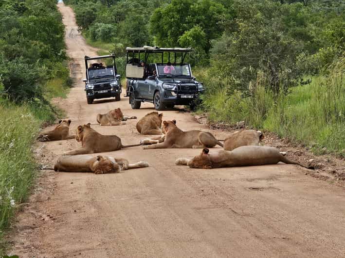 18 Best Tours In Hazyview