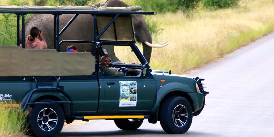 Kruger National Park - Full Day Safari (HAZYVIEW)