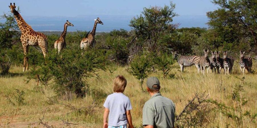 Kruger National Pk 4 Day Safari From Johannesburg & Pretoria