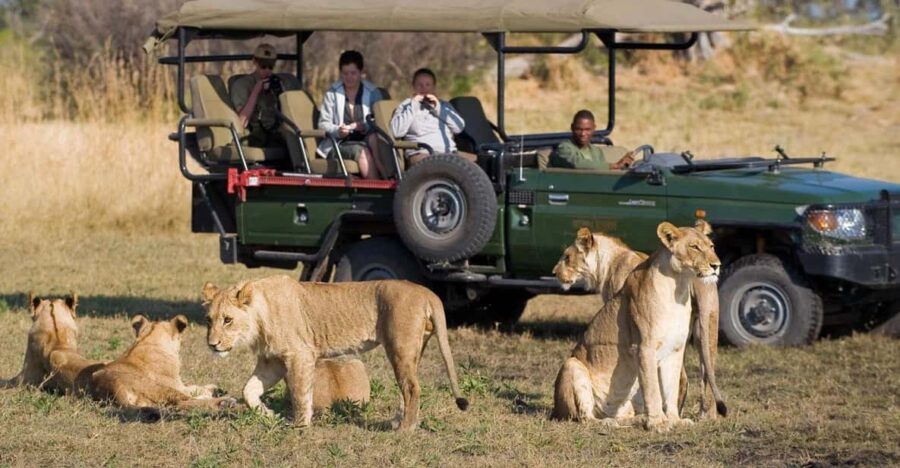 Kruger Park & Blyde River Canyon 4DAY Safari Fr Johannesburg