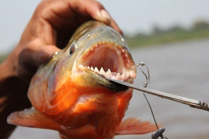 Kukamas Tribe, Butterfly Preserve & Sport Piranha Fishing - All Tickets Included