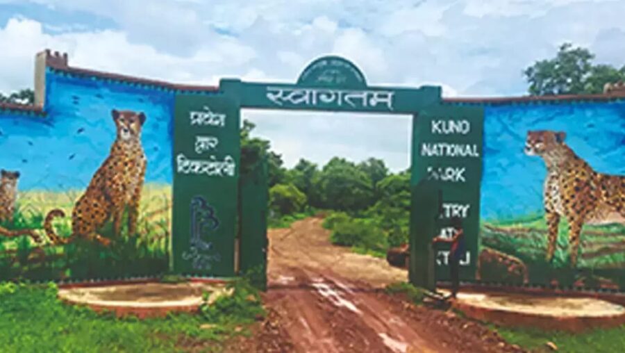 Kuno National Park Tour 3 Nights 4 Days