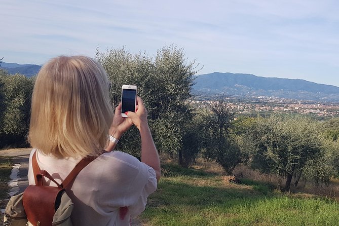 La Dolce Vita of the Renaissance - Half-Day Walking Tour - Unveiling Luccas Medieval Marvels
