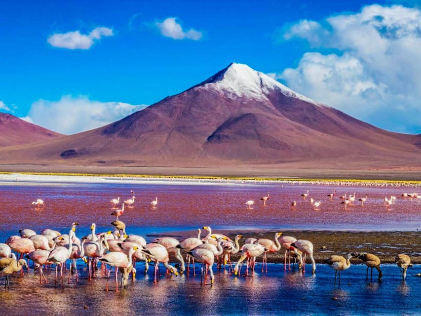 La Paz: 3 Day Tour to the Salar De Uyuni and San Pedro De Atacama