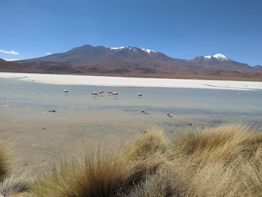 La Paz: Uyuni Salt Flats and Incahuasi Island 5 Days by Bus - Tour Overview