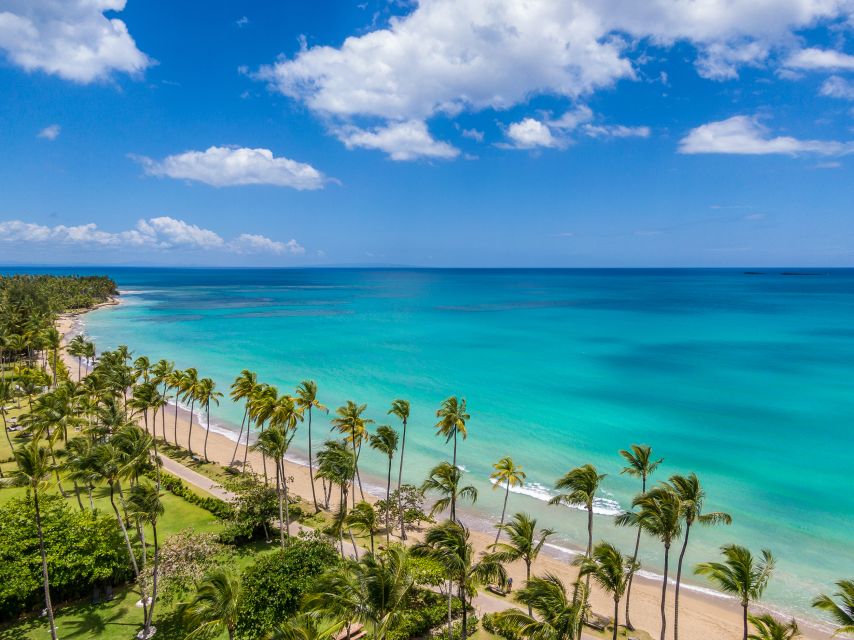 La Romana: Whale-Watching Cruise & Cayo Levantado Day Trip