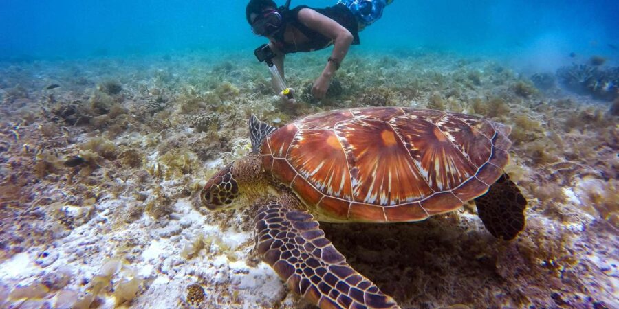 Laginha Beach: Snorkeling Gear Rental