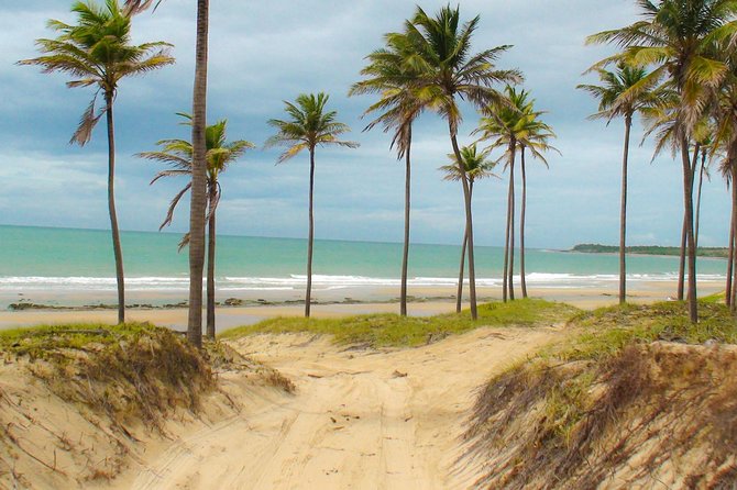 Lagoinha Beach Tour