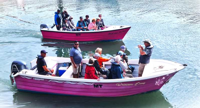 Lagos-Algarve: Grotto Trip – Boat Trip Late Afternoon
