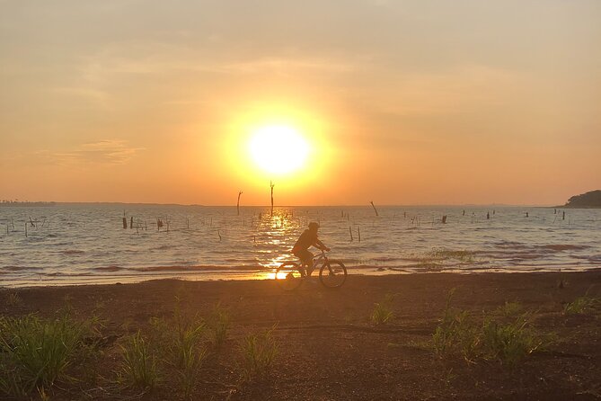 Lake Itaipu Bike Experience: Ride Along the Banks of the Lake - Adventure Awaits: Fitness Level