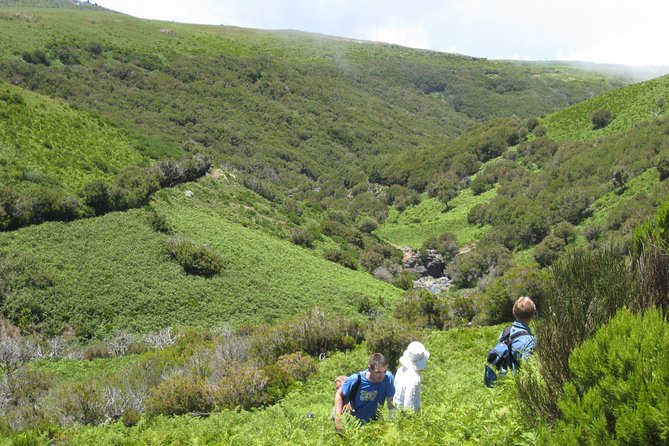 Lakes of Madeira- Alecrim Full Day Walk
