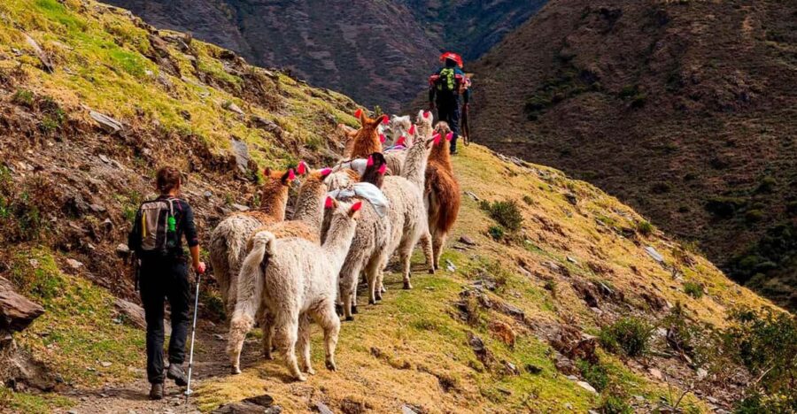 Lares Trek + Machu Picchu 4 Days | Thermomedicinal Waters